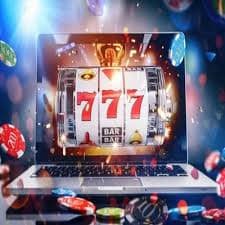 fns229